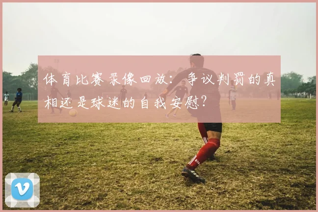 体育比赛录像回放：争议判罚的真相还是球迷的自我安慰？