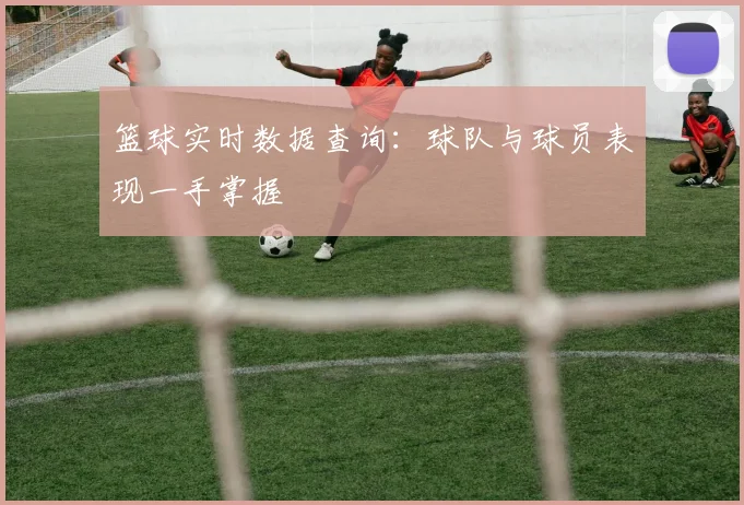 篮球实时数据查询：球队与球员表现一手掌握